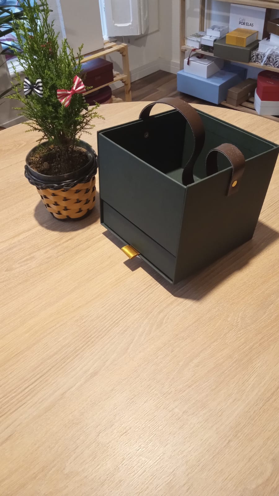 Caixa rígida cachepô - Image 5